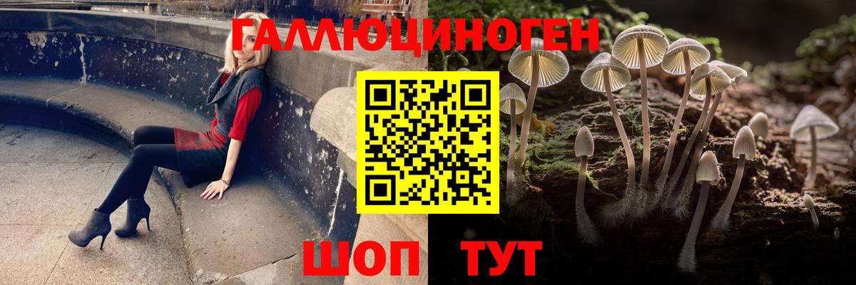 Галлюциногенные грибы Magic Shrooms Тихорецк