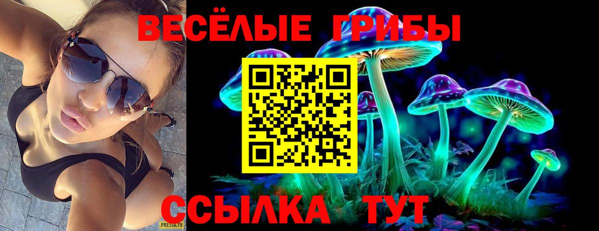 Тихорецк  Псилоцибиновые грибы MAGIC MUSHROOMS  Вход с VPN 